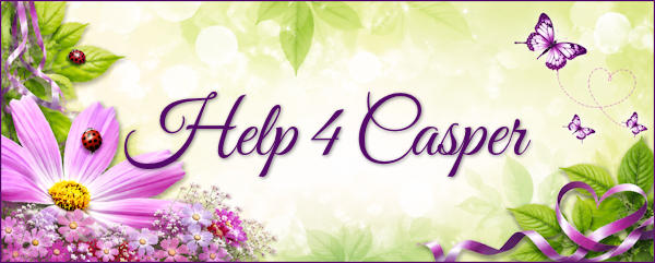 (image for) ** HELP 4 CASPER
